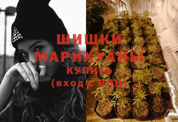 МДПВ Заводоуковск
