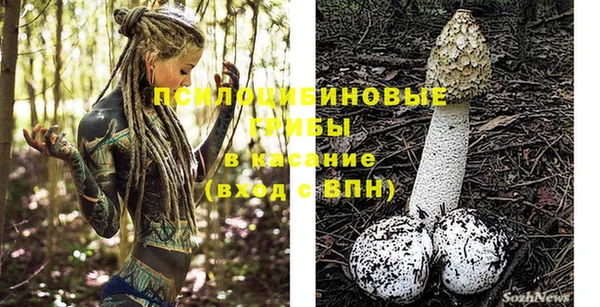 прущая мука Гатчина