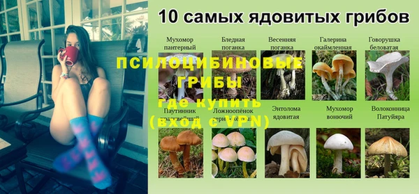 экстази Елабуга