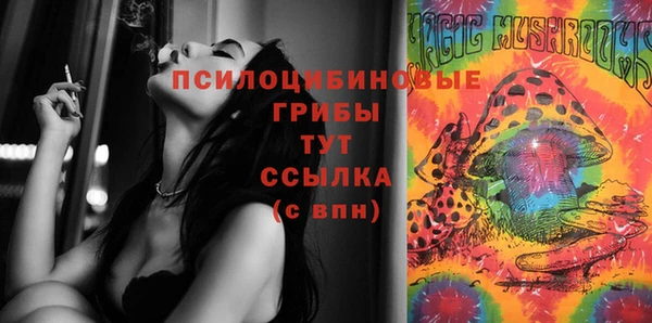 бошки Ельня