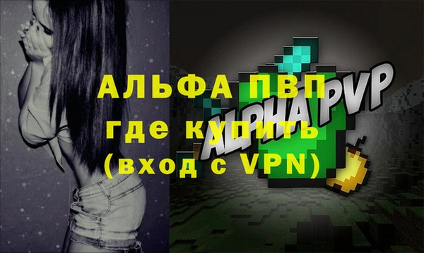 mdpv Елизово