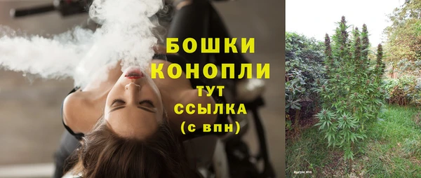 бошки Ельня